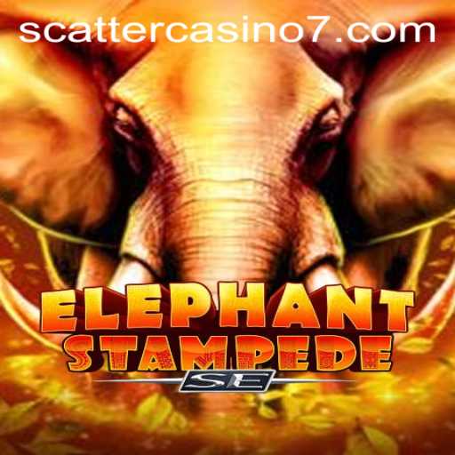 Discover the Adventure of ElephantStampedeSE in Scatter Casino